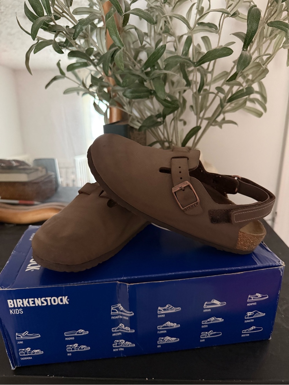 Birkenstock Kids Brown Closed-Back Clog Sandal